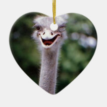 Ostrich Winking - Funny Ornaments