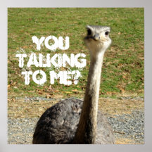 Ostrich You talking to Me? Poster