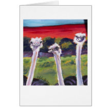 Ostriches Greeting Card, Reads "Just Thinkin of Ya