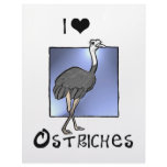 Ostriches Lover gifts! Wildlife design! Letterhead