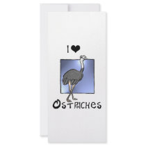 Ostriches Lover gifts! Wildlife design! Rack Cards