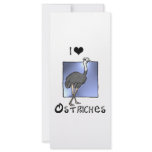 Ostriches Lover gifts! Wildlife design! rack cards
