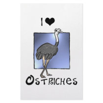 Ostriches Lover gifts! Wildlife design! Stationery