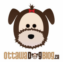 Ottawa Dog Blog Stand Acrylic Cut Out