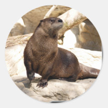 otter_10x10 round sticker