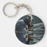 Otter Beauty Wild Otter Photography Key Chain