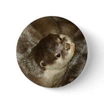 Otter