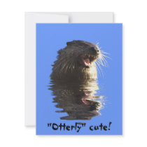 OTTER Card