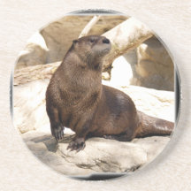Otter Coaster