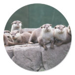 Otter family stickers
