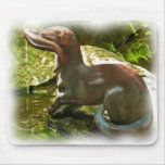 Otter Fishing by Pool, in Oil Mousepads