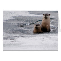 Otter Friends Cards