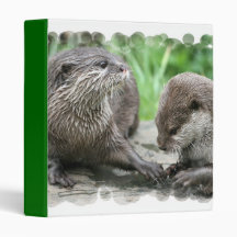 Otter Habitat Binders