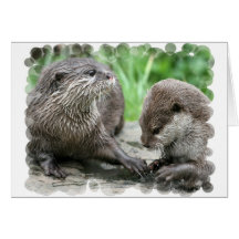Otter Habitat Greeting Cards