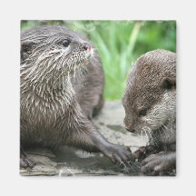 Otter Habitat Magnet
