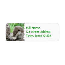 Otter Habitat Mailing Label