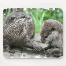 Otter Habitat Mouse Pad