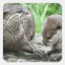 Otter Habitat Stickers