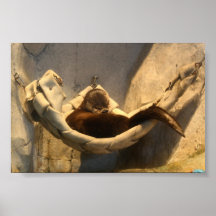 Otter in a Hammock Posters