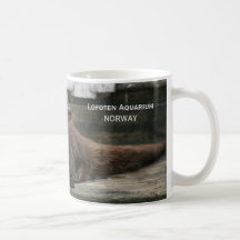 Otter, Lofoten Aquarium Coffee Mugs