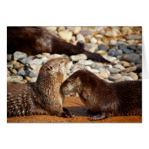 Otter Love Greeting Cards