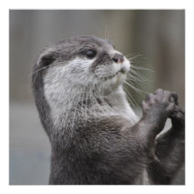 Otter Mastermind Invitations