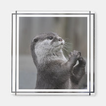 Otter Mastermind Magnet