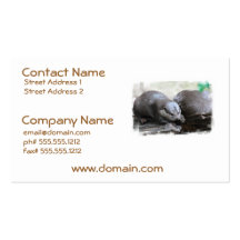 Otter Pair Business Cards