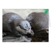 Otter Pair Greeting Cards