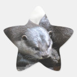 Otter Pair Stickers