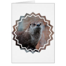 Otter Photo Greeting Card