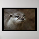 Otter Posters