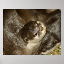 Otter Print