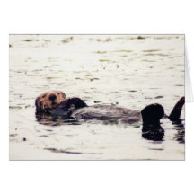 Otter Raft Card