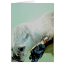 Otter Swimming Greeting Cards