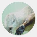 Otter Swimming Stickers