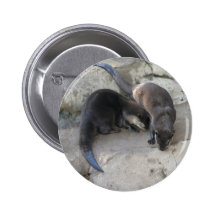 Otters Button