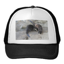 Otters Trucker Hats