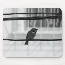 Où à après ? tapis de souris