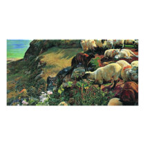 Our English Coast (Stray Sheep) By Hunt William Photo Cards