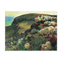 Our English Coast (Stray Sheep) By Hunt William Post Cards