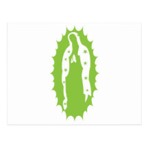 OUr Lady Guadalupe Modern lime green Post Cards