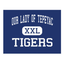 Our Lady Of Tepeyac - Tigers - High - Chicago Post Cards