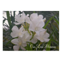 Our Love Blossoms Save The Date Mini Cards