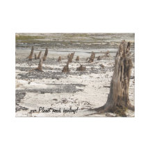 our planet needs healing gallery wrap canvas