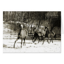 Our Time to Shine Greeting Card