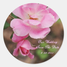 Our Wedding, save the date, pink rose Round Stickers