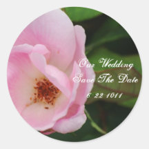 Our Wedding, save the date, pink rose Stickers