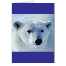 Ours blanc cartes de vœux