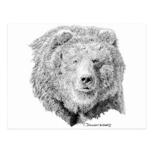 Ours de Grizzy Cartes Postales
